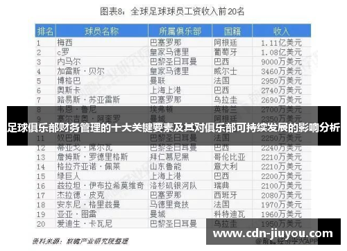 足球俱乐部财务管理的十大关键要素及其对俱乐部可持续发展的影响分析 足球俱乐部财务管理的十大关键要素及其对俱乐部可持续发展的影响分析