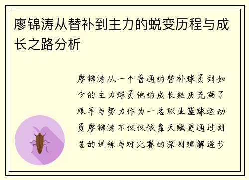 廖锦涛从替补到主力的蜕变历程与成长之路分析