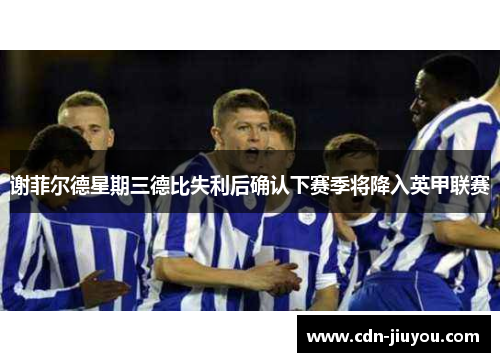谢菲尔德星期三德比失利后确认下赛季将降入英甲联赛